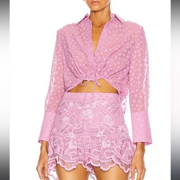 Alexis Kaja Cropped Blouse Top PINK sheer - Picture 4 of 12
